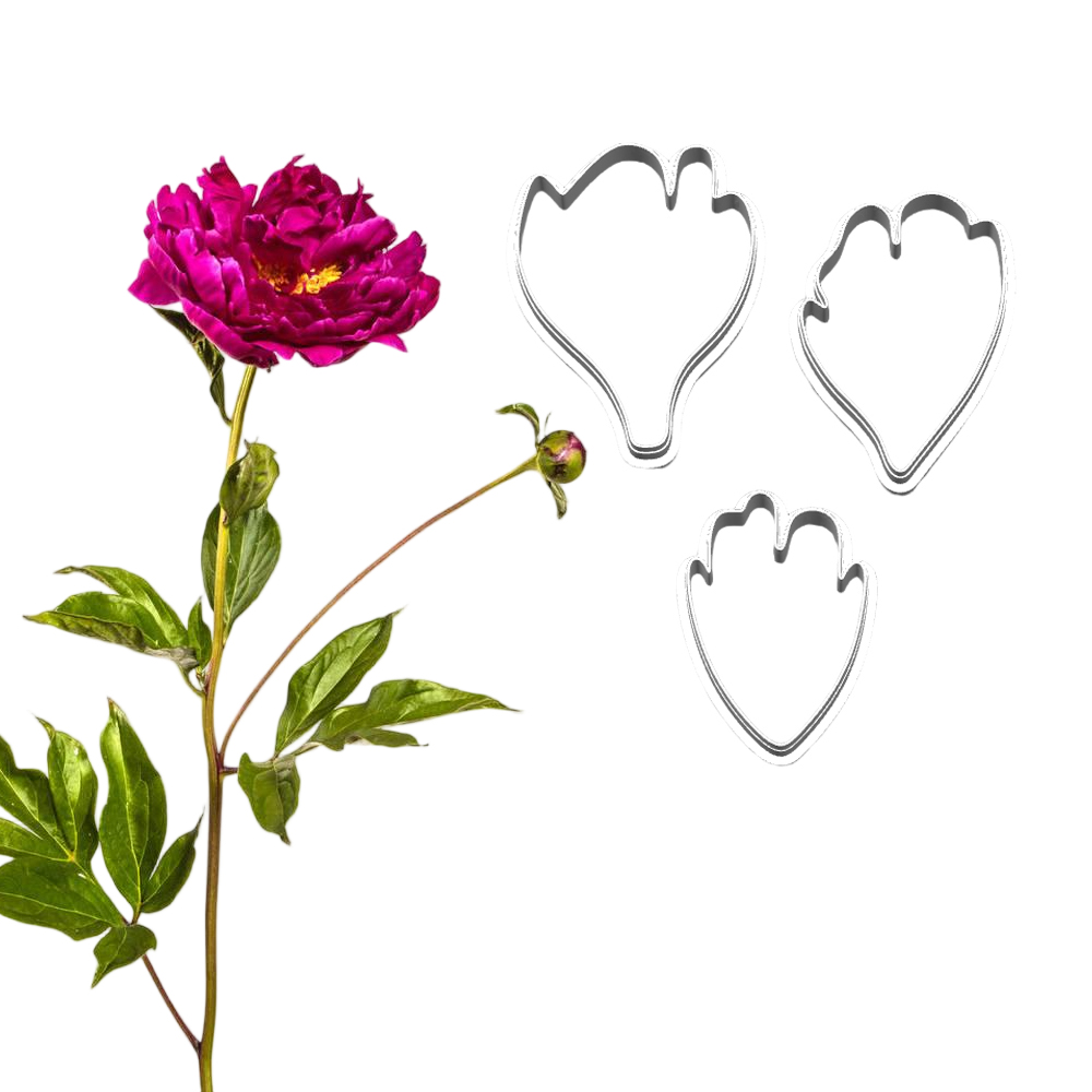 Nowe silikonowe formy i wykraw – Candle Making Workshop recenzja i cena